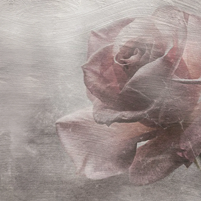 ROSA-Carta-da-Parati-Artistica-430524-rel414bcd3f.jpg